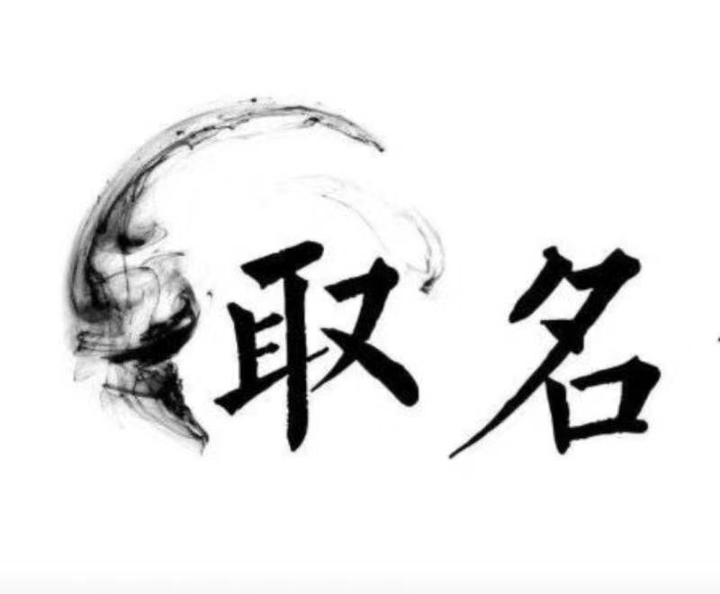  前进宝宝取名 大师一对一人工起名